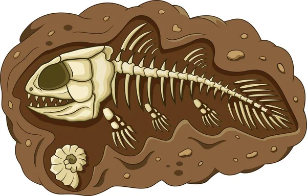 Vektor Illustration Coelacanth Fisk Fossil — Stock vektor