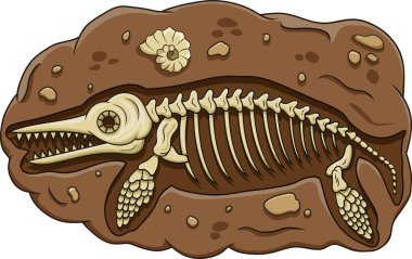 Ichthyosaurus dinozor fosilinin vektör çizimi