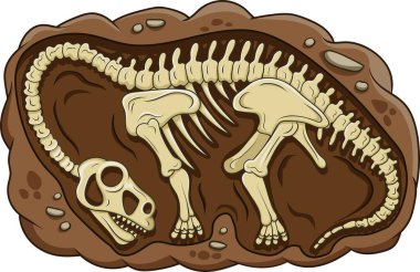 Vector illustration of  cartoon brontosaurus dinosaur fossil clipart