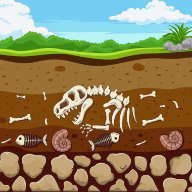 Karikatür fosil hayvanların dinozor, balık, kemik ve kabuklu vektör çizimi