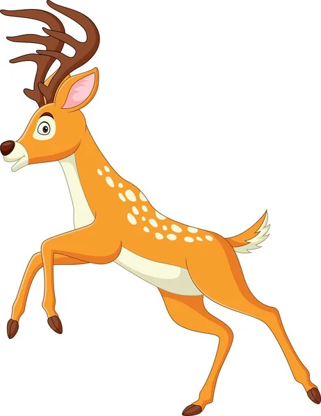 Vector Illustration Cartoon Funny Deer Posing White Background — Stock Vector