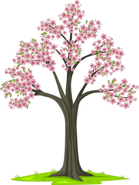 Ilustração Vetorial Árvore Sakura Rosa Bloom Sobre Fundo Branco — Vetor de Stock