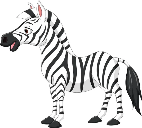Vektor Illustration Söt Baby Zebra Isolerad Vit Bakgrund — Stock vektor