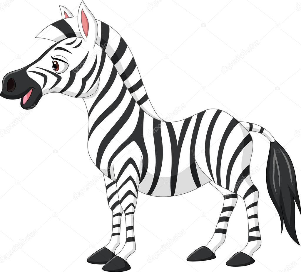 Vector illustration of Cute baby zebra isolated on white background