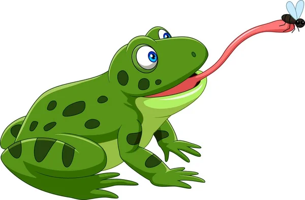 Vector Illustration Cartoon Frog Catching Fly — Stock Vector