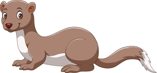 Vector Illustration Cute Ferret Cartoon White Background — Vetor de Stock