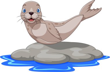 Karikatür deniz aslanının kayadaki vektör çizimi