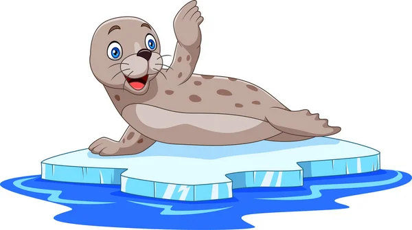 Vectorillustratie Van Cartoon Zeehond Pakijs — Stockvector