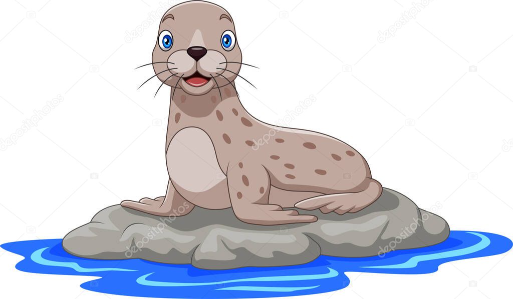 Vector illustration of Cartoon sea lion on the rock