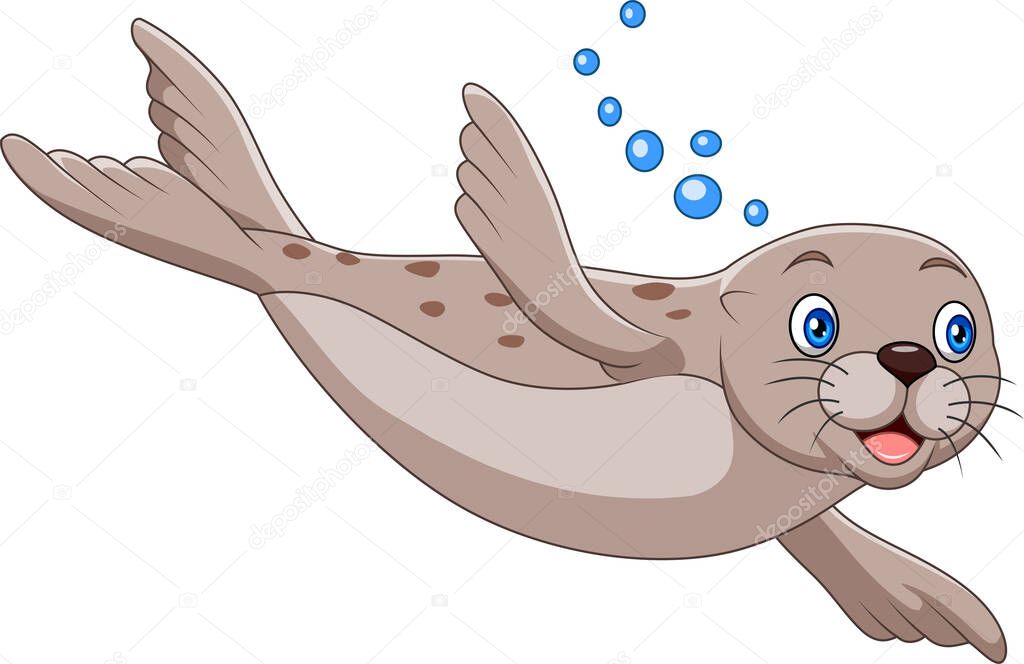 Vector illustration of Cartoon seal swimming on white background