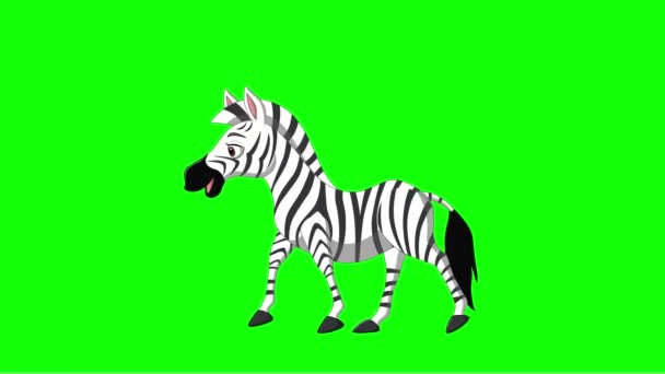 Vector Illustration Cartoon Zebra Walking Animation Green Screen Background — Video