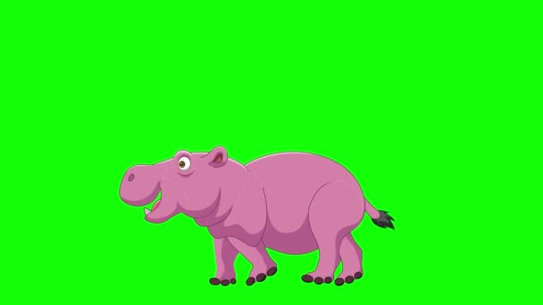 Vector Illustration Cartoon Hippo Walking Animation Green Screen Background — Wideo stockowe