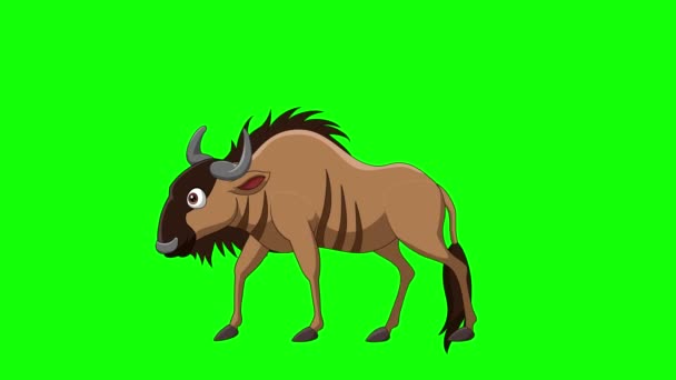 Vector Illustration Cartoon Wildebeest Walking Animation Green Screen Background — Stok video