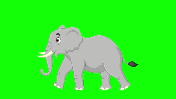 Vector Illustration Cartoon Elephant Walking Animation Green Screen Background — Wideo stockowe