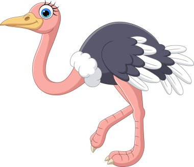 Vector illustration of Cartoon ostrich on white background