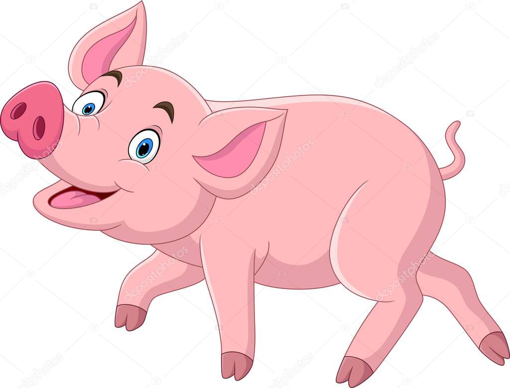 Vector illustration of Cartoon funny pig on white background