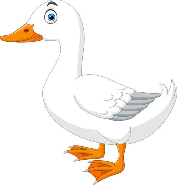 Vector illustration of Cartoon cute swan on white background