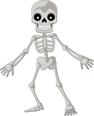 Vector illustration of Cartoon funny skeleton on white background