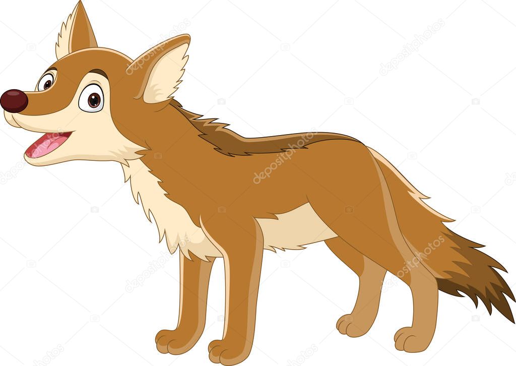 Vector illustration of Cartoon brown wolf on white background