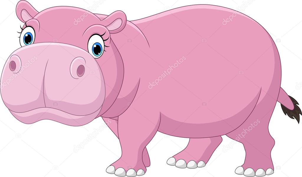 Vector illustration of Cartoon funny hippo on white background