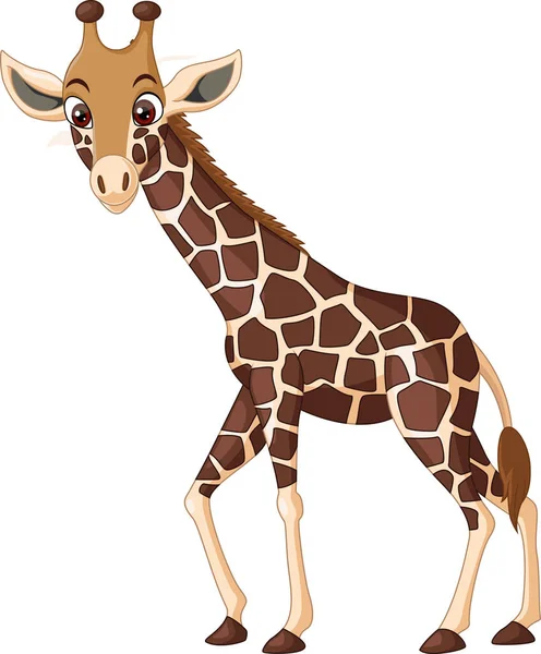 Ilustração Vetorial Girafa Dos Desenhos Animados Isolada Sobre Fundo Branco —  Vetores de Stock