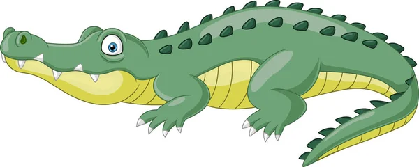 Векторная Иллюстрация Мультяшного Крокодила Белом Фоне — стоковый вектор