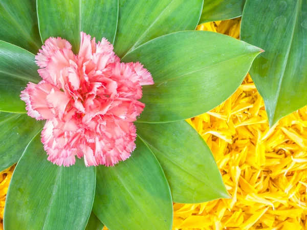 Décoration de fleurs — Photo