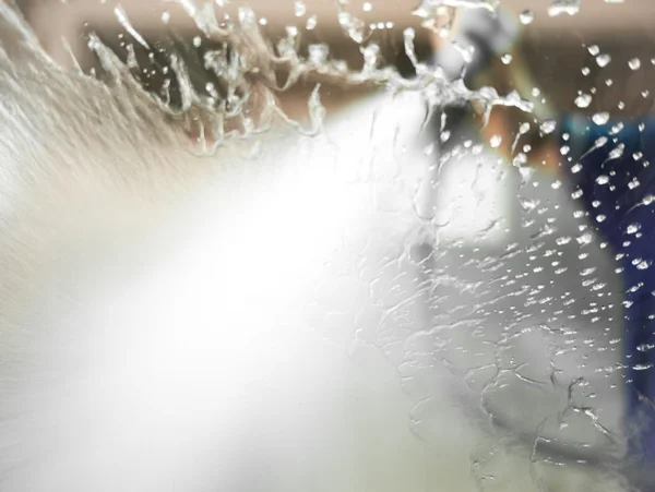 Salpicadura de agua en la ventana — Foto de Stock