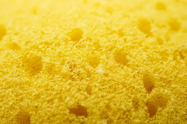 Macro of sponge — Stock Photo, Image