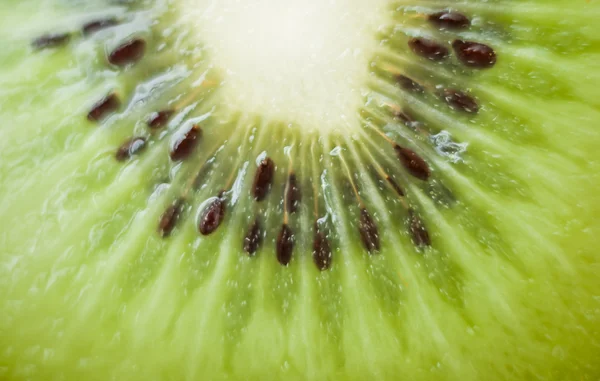 Macro of half kiwi fruit — Stock Photo, Image