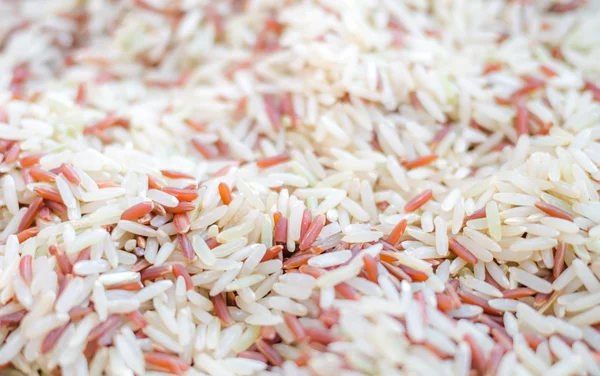 白と茶色の米 — ストック写真