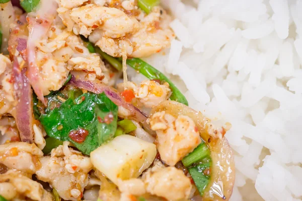 Thai spicy chicken salad with rice — Stock Photo, Image