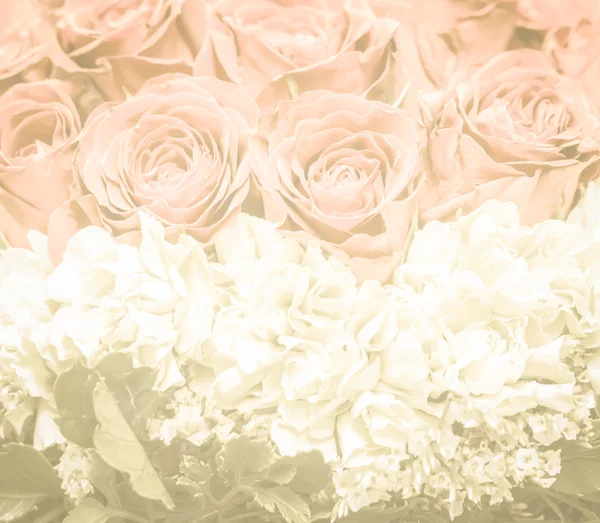 Bund roter und weißer Blumen in warmem Ton verarbeitet — Stockfoto