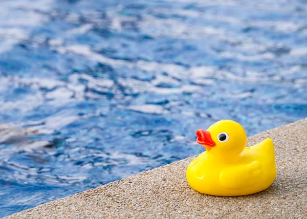 Rubber duck beside the swimming pool — Stock Photo, Image