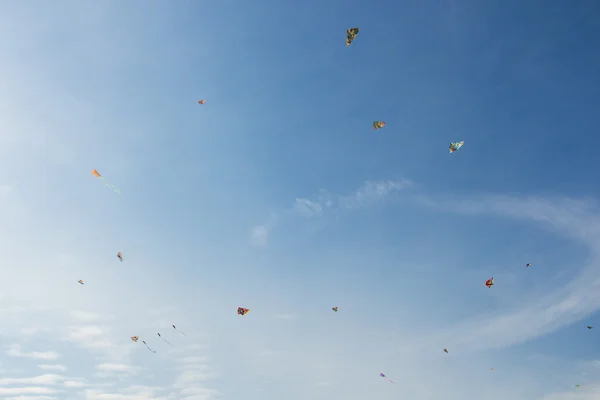 Kites fly in sky — Stock Photo, Image