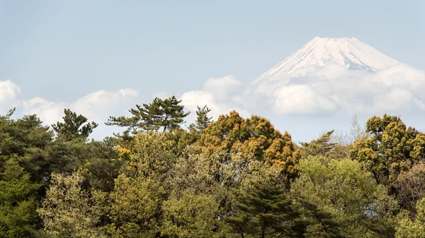 Видом на гору Фудзі — стокове фото