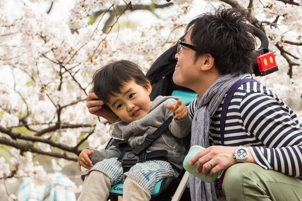 Sakura in tokyo, Japón — Foto de Stock