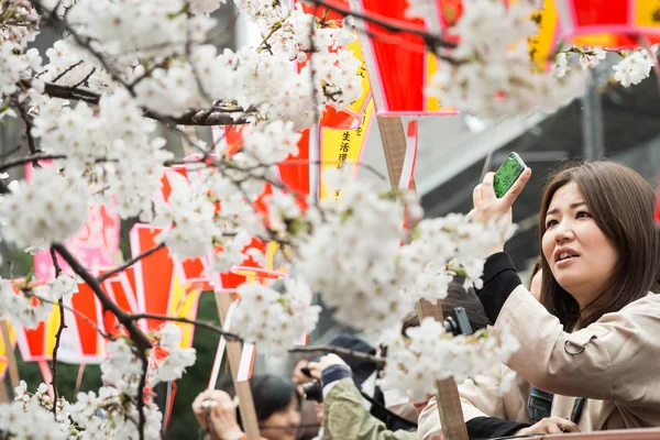 Sakura in Tokyo, Japan Stockbild