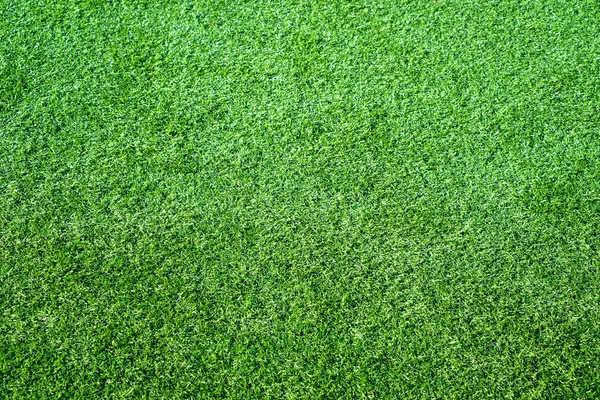 Herbe verte Photo De Stock