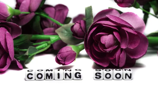 Coming soon with pink flowers — Stock Photo, Image