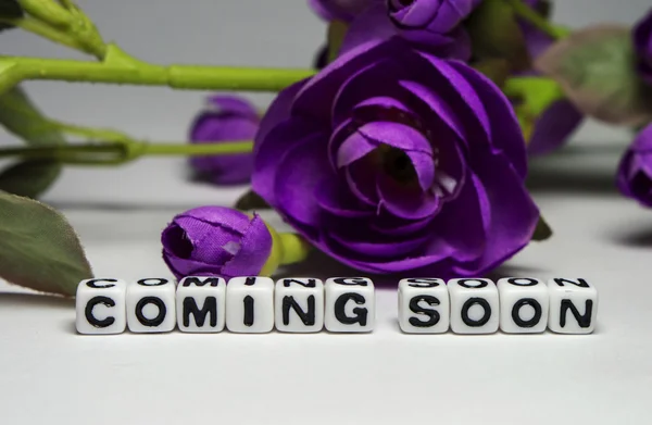 Magenta flower and coming soon message — Stock Photo, Image