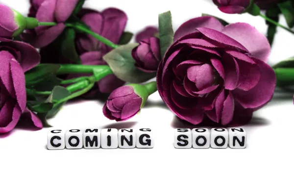 Coming soon met roze bloemen Stockafbeelding