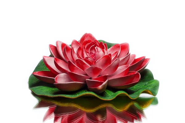 Red lotus — Stock Photo, Image