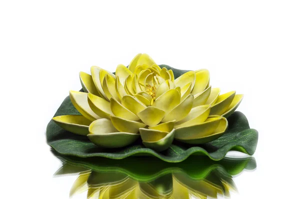 Yellow lotus — Stock Photo, Image