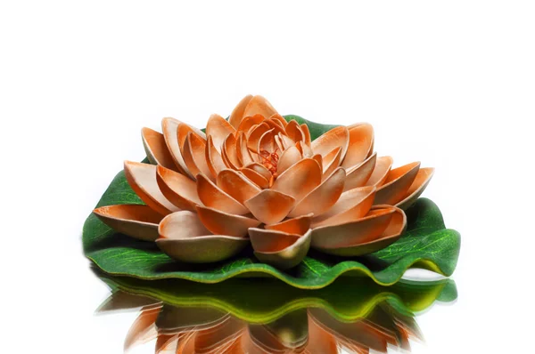 Turuncu renkli lotus — Stok fotoğraf