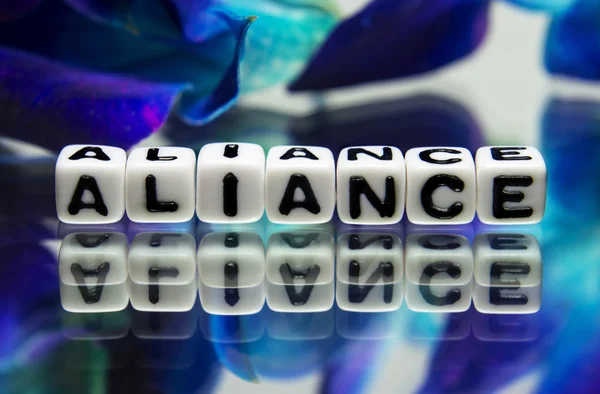 Aliance — Stock Photo, Image