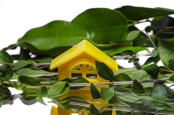 Casa tra foglie verdi — Foto Stock