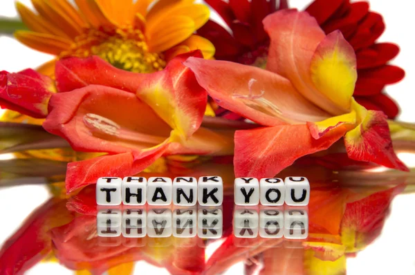 Thank you with colors — Stock Photo, Image