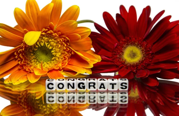 Parabéns com flores vermelhas e amarelas — Fotografia de Stock