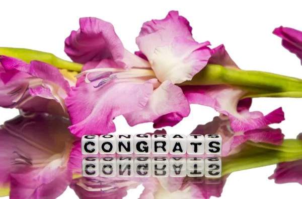 Συγχαρητήρια με ροζ λουλούδια — Φωτογραφία Αρχείου